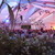 Wedding in a Clear Span Tent
